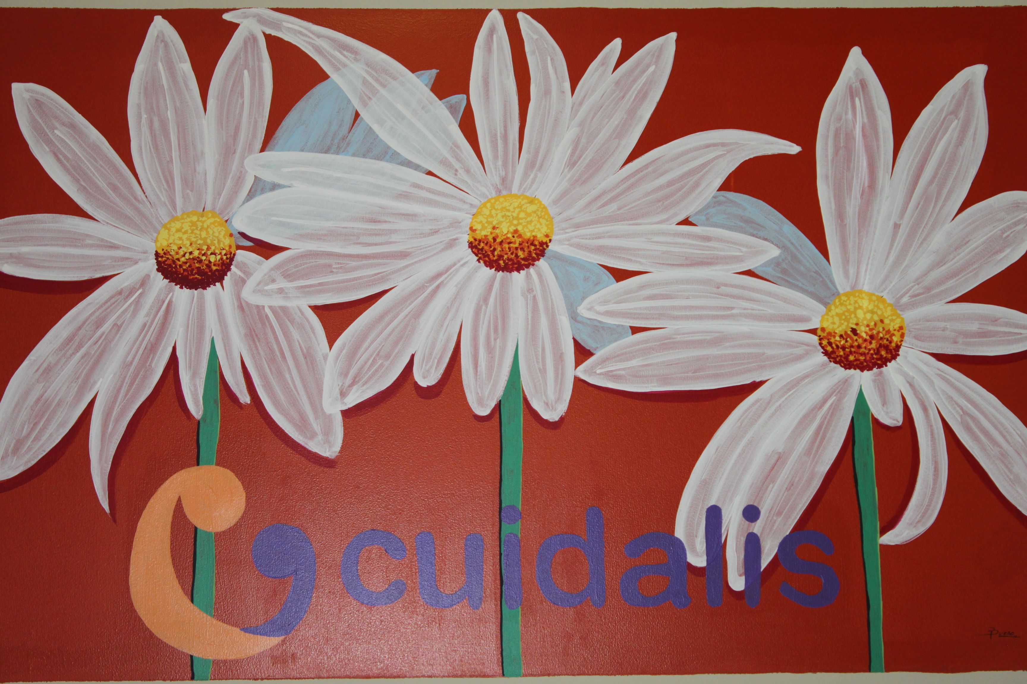 REACTIVACION CUIDALIS